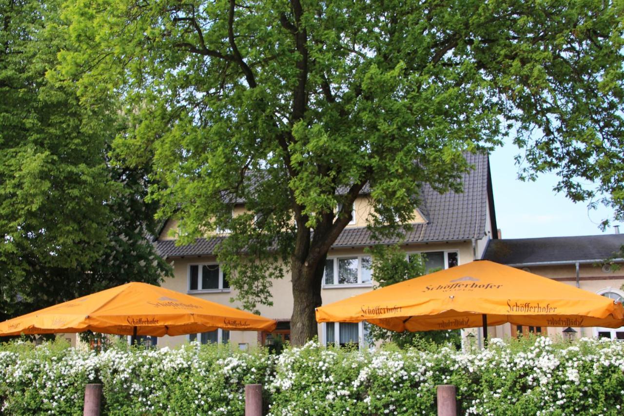 Zur Friedenseiche